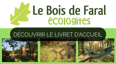 Immergez-vous dans la nature sauvage du Lot : chalets en bois nichés au cœur d'une forêt authentique, entre détente et exploration