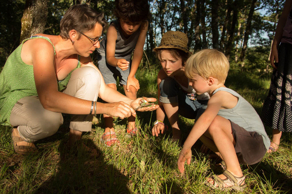 Découverte et apprentissage en famille au cœur de la nature du Lot, où chaque instant devient une aventure mémorable