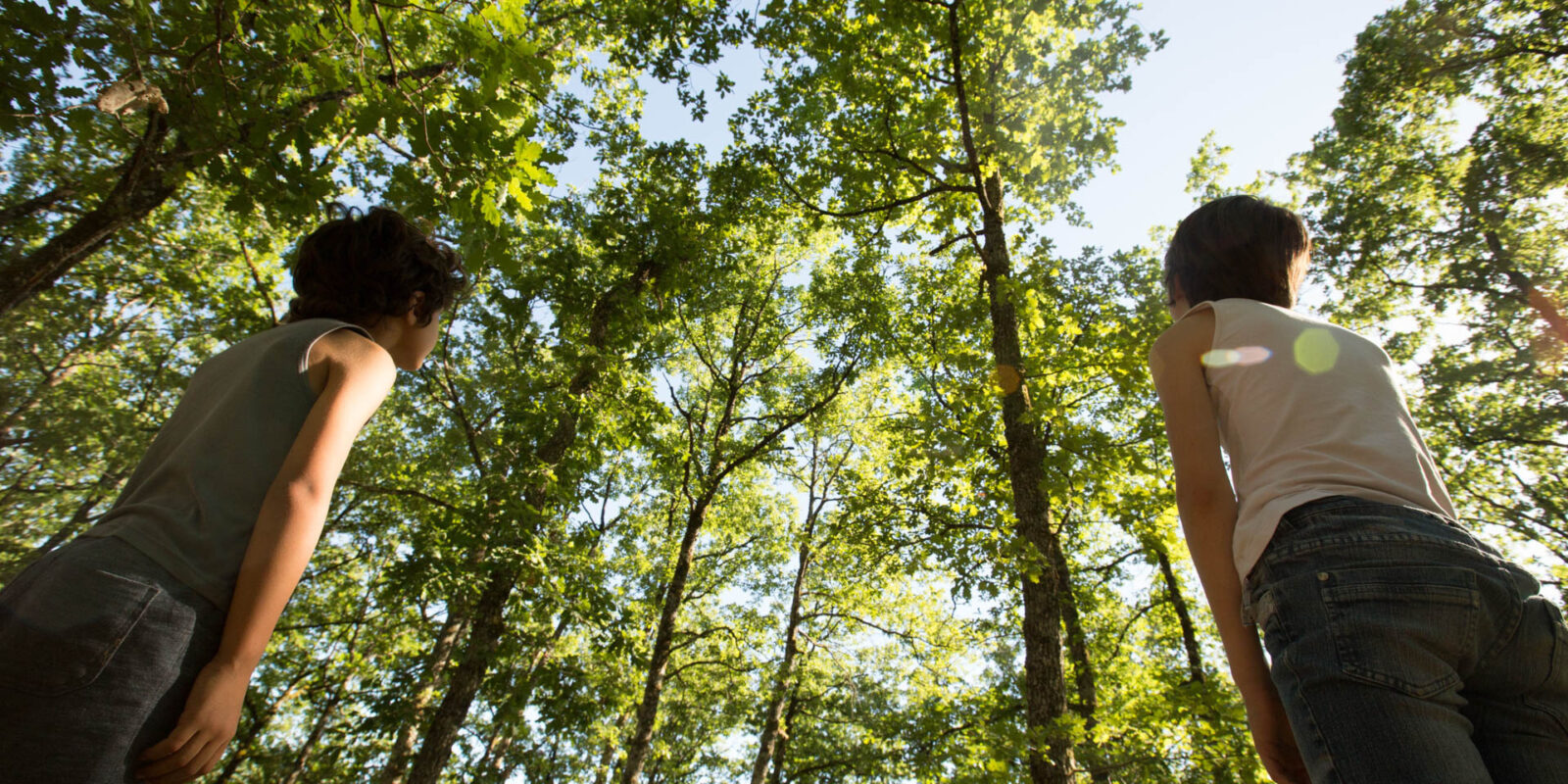 À la découverte des forêts du Lot, respirez la nature en toute liberté dans nos sentiers enchanteurs