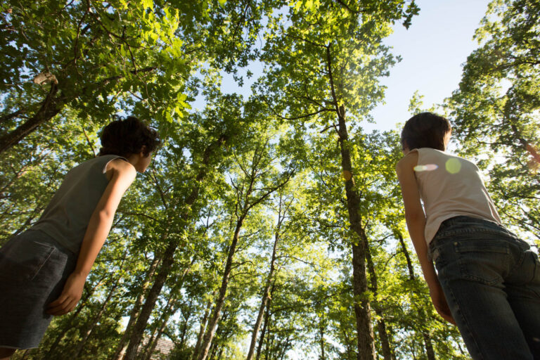 À la découverte des forêts du Lot, respirez la nature en toute liberté dans nos sentiers enchanteurs