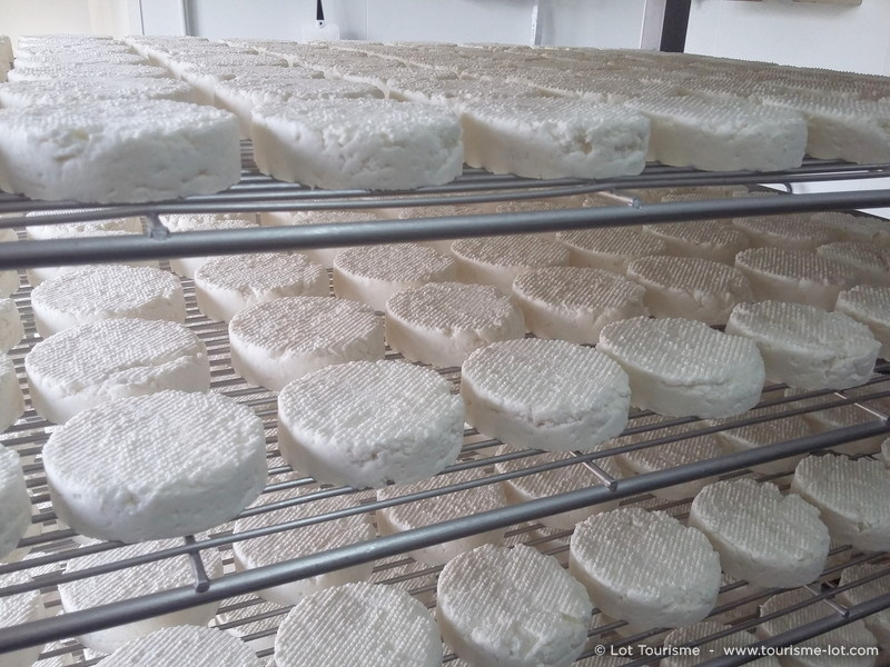 Fromages fermiers affinant dans les caves du Lot, terroir authentique et saveurs traditionnelles