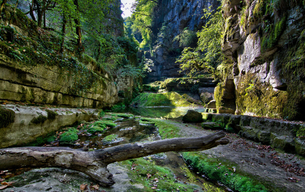 Gorges verdoyantes du Lot, où la nature sauvage révèle ses trésors cachés. À découvrir lors de vos randonnées près de Bois de Faral