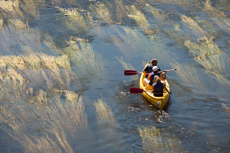 Kayak en famille sur les eaux cristallines du Lot, entre roseaux dorés et paysages naturels préservés