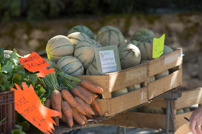 Récolte du terroir lotois : melons, carottes et produits frais du marché local près de Bois de Faral