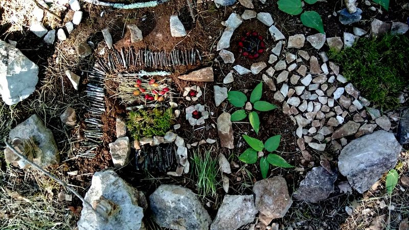 La nature reprend ses droits au cœur du domaine, où pierres et végétation cohabitent en harmonie écologique