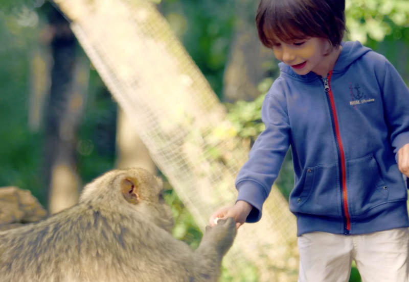 Moments magiques en nature : une rencontre douce avec la faune locale au cœur du Lot